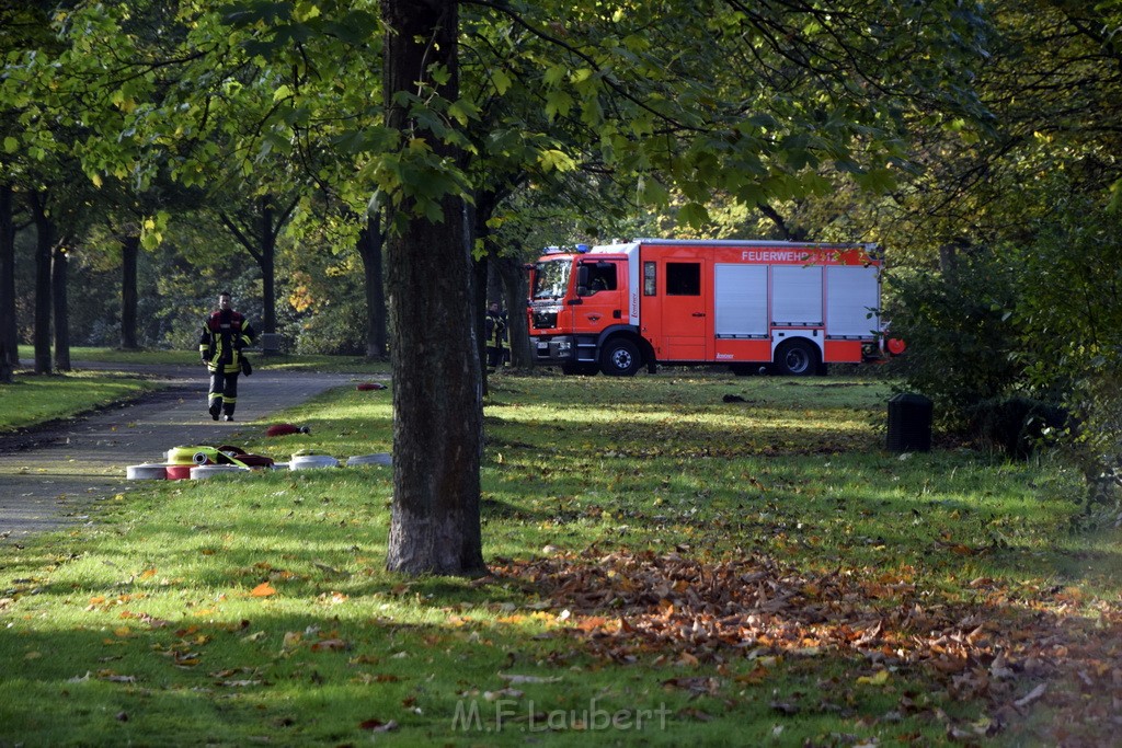 Feuer 1 brannten 3 Lauben Koeln Fuehlingen Kriegerhofstr P142.JPG - Miklos Laubert